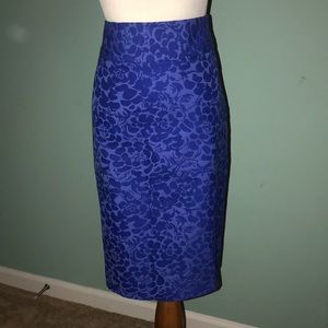 Ann Taylor Loft Classy Blue Skirt with Pattern!